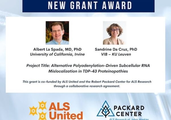 LaSpada DaCruz Graphic 1